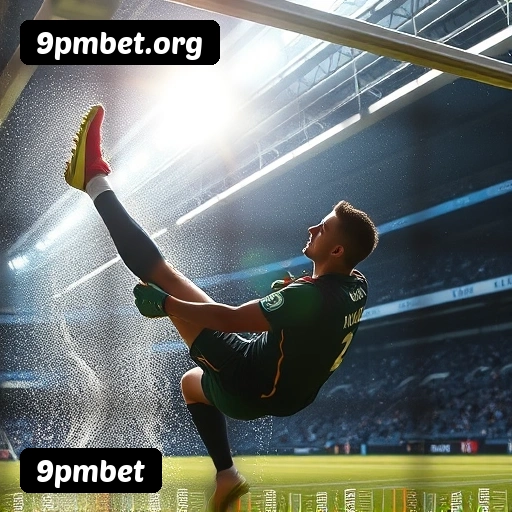 Requisitos do APK da 9pmbet para Android