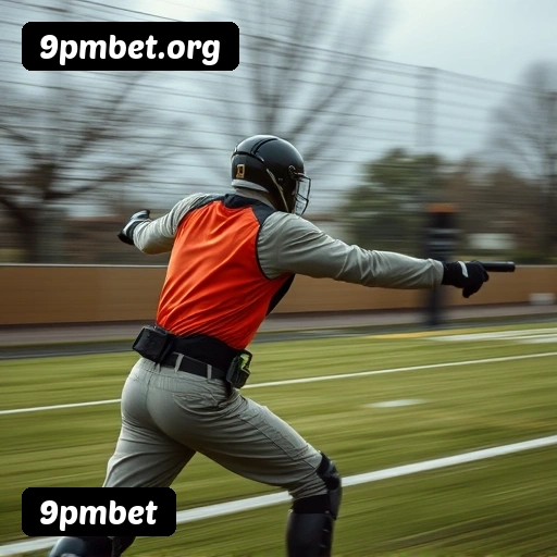 Principais provedores de slots da 9pmbet - NetEnt, Pragmatic Play, Play'n GO